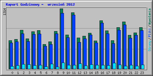 Raport Godzinowy -  wrzesie 2012